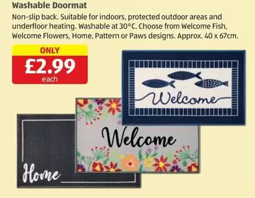 Washable Doormat