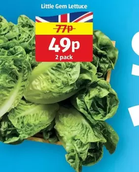 Little Gem Lettuce