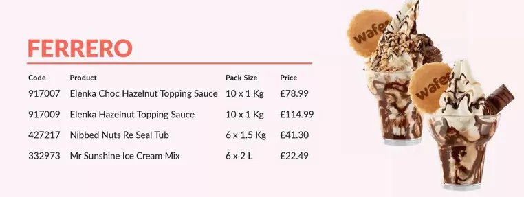 Ferrero - Elenka Choc Hazelnut Topping Sauce 917007