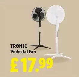 Pedestal Fan
