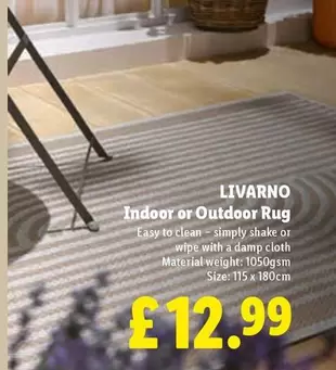 Livarno - Indoor or Outdoor Rug