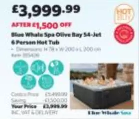 Blue Whale Spa Olive Bay 54-Jet 6 Person Hot Tub Item 355426