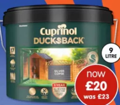 Silver - DUCK'S BACK