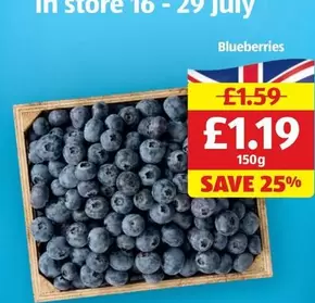 Blueberries