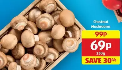 Chestnut Mushrooms