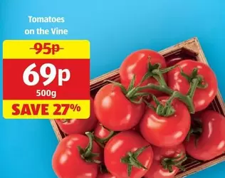 Tomatoes on the Vine