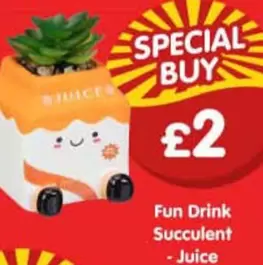 Fun Drink Succulent - Juice