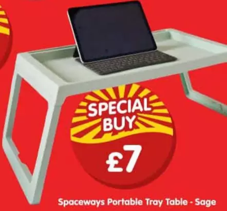 Portable Tray Table