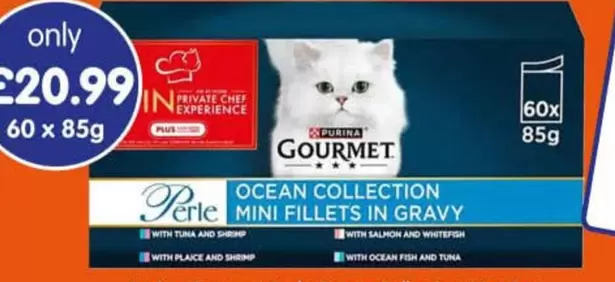 Chef - OCEAN COLLECTION MINI FILLETS IN GRAVY