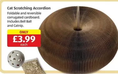 CAT - Cat Scratching Accordion