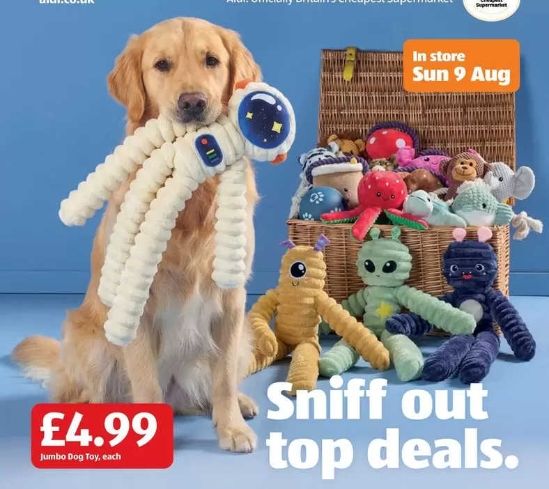 Sun - Jumbo Dog Toy