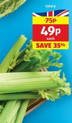 Celery