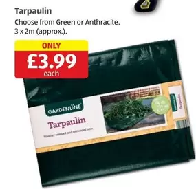 Tarpaulin