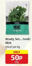 Mint