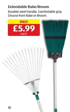 Extendable Rake/Broom