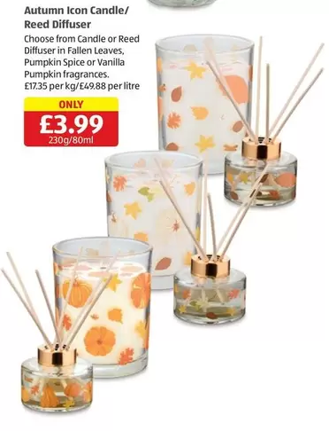 Autumn Icon Candle/ Reed Diffuser