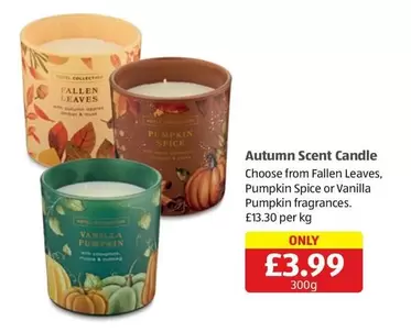 Autumn Scent Candle