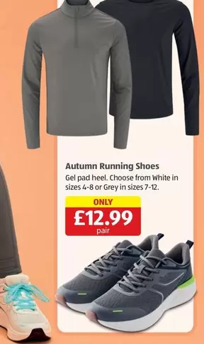 Autumn Running Shoes