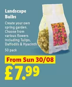 Sun - Landscape Bulbs