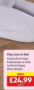 Play Gym & Mat