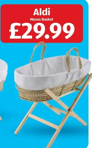 Moses Basket