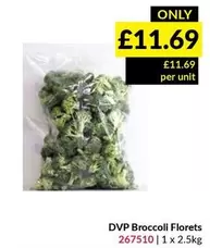 DVP Broccoli Florets 267510