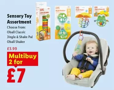 Sensory Toy Assortment