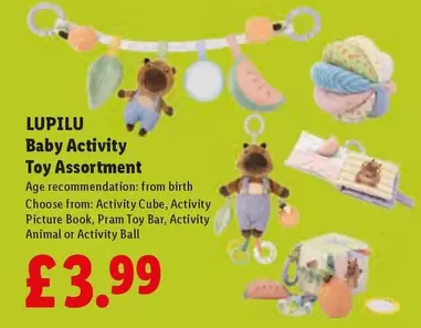Animal - Baby Activity Toy Assortment