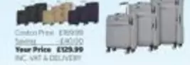 Suitcase Set