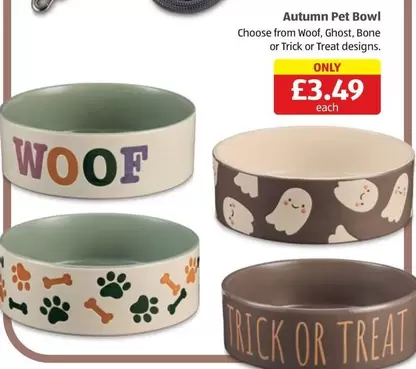 Ghost - Autumn Pet Bowl