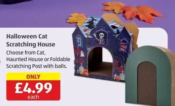 CAT - Halloween Cat Scratching House