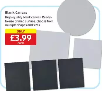 Blank Canvas
