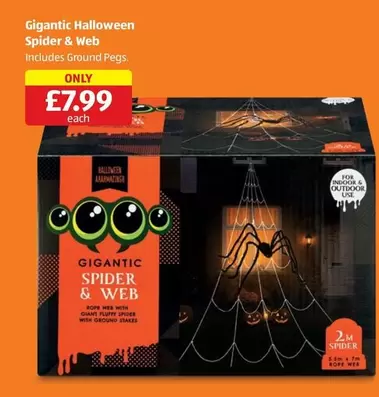 Gigantic Halloween Spider & Web