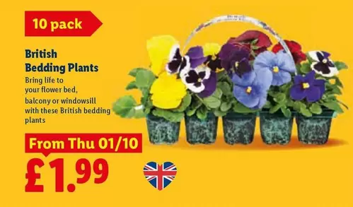 British Bedding Plants