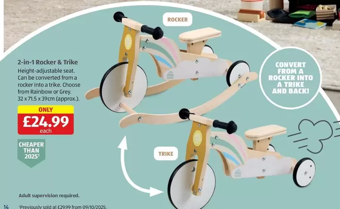2-in-1 Rocker & Trike