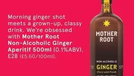 Non-Alcoholic Ginger Aperitif 500ml