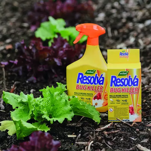 Resolva Bug Killer Ready To Use 1L