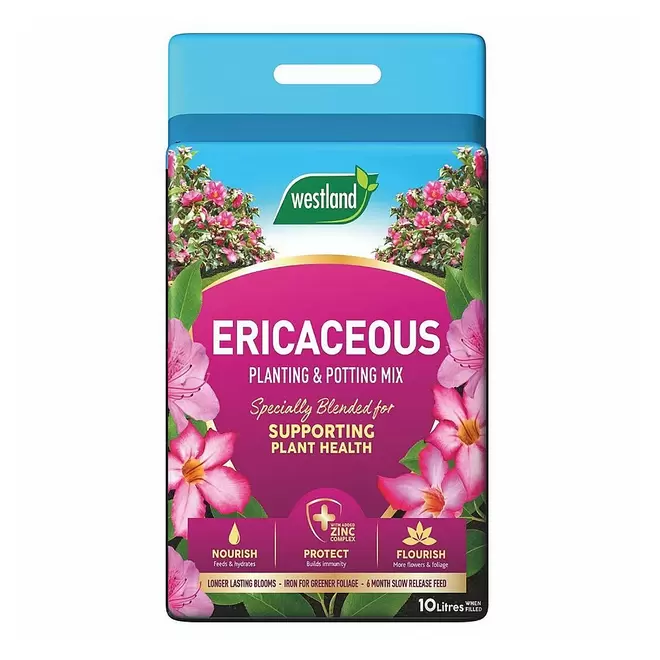 Westland Ericaceous Planting & Potting Mix Pouch 10L