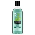 Alberto Balsam Shampoo- Tea Tree Tingle, 300ml