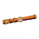Pawsome Paws Boutique Woody Dog Collar, Toy Story