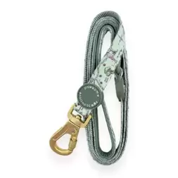 Pawsome Paws Boutique Winnie the Pooh 100 Aker Wood Dog Lead