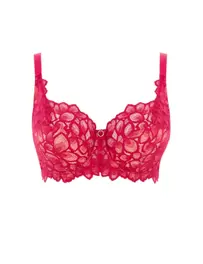 Allure Lace Wired Full Cup Bra (D-HH)