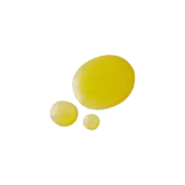 Golden Egg