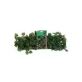 Garden Artificial Ivy Trellis- Striped Leaves, 42 x 18cm