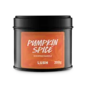 Pumpkin Spice Single Wick Candle