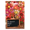 Summer Bulbs - Sparaxis Mixed
