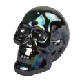 Halloween Glazed Skull Ornament - Black