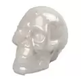 Halloween Glazed Skull Ornament - White