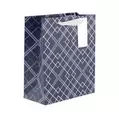 Fathers Day Small Gift Bag - Squares