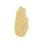 Palm Reader